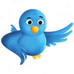 twitter-icon