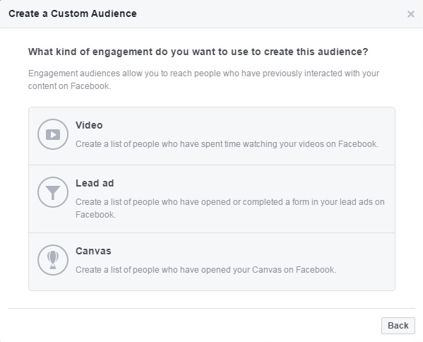 Custom Audience Remarketing