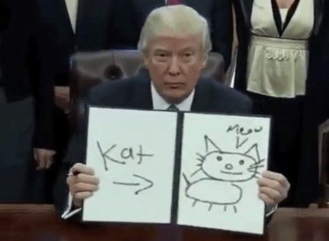 Meme Donald Trump 