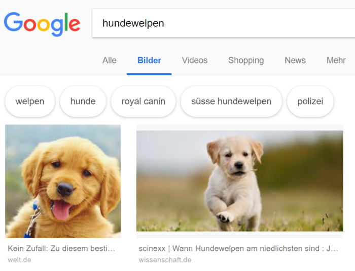 Darstellung von Seitentitel und Domain unter den Bildern