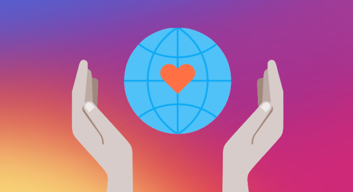 zu sehen ist ein Beispielbild zum Thema Instagram Fundraisers