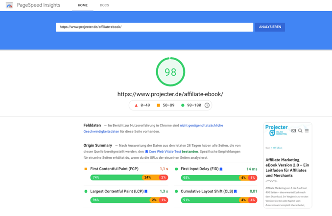 Screenshot Google Pagespeed Insights