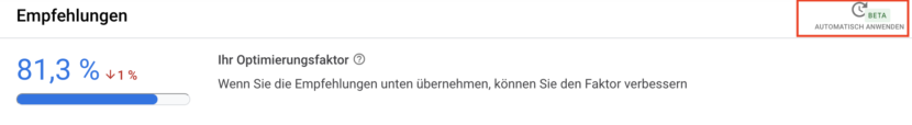 Screenshot Google Ads Optimierungsfaktor