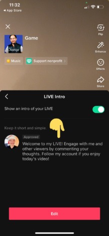 TikTok Begrüßung Livestream 2