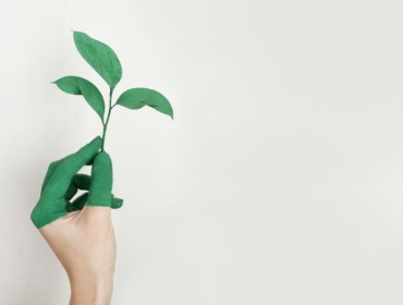 Pflanze in einer Hand, Nachhaltigkeit