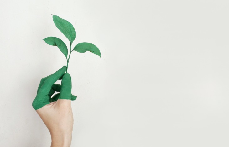 Pflanze in einer Hand, Nachhaltigkeit